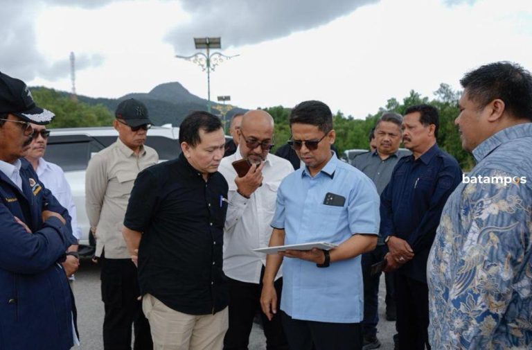 Kemenko Perekonomian Tinjau Perkembangan Kawasan Industri FTZ Karimun