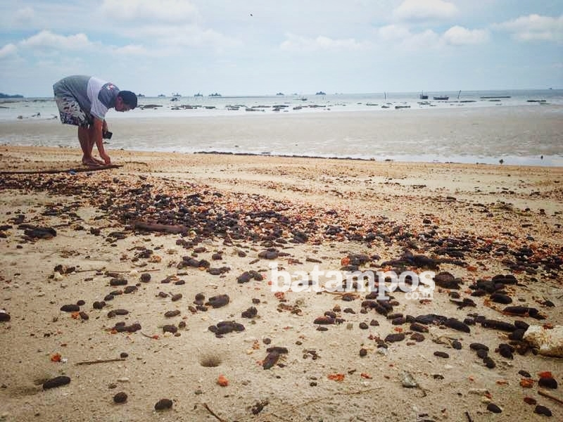  Limbah Minyak  Cemari Pantai Bintan batampos co id