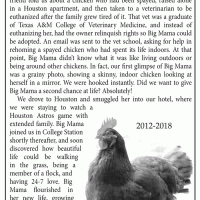 big-mama