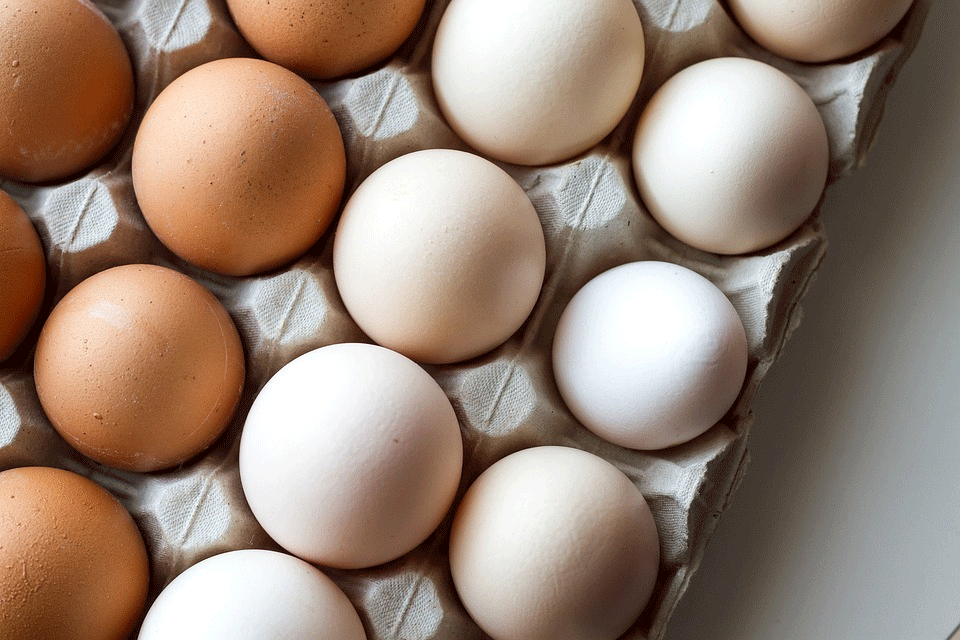 Disperindag Klaim Pedagang Jual Telur dengan Harga Tinggi ...