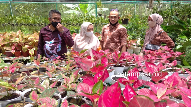 Batam Gelar Flower Festival 2021 Ada Tanaman Janda Bolong 